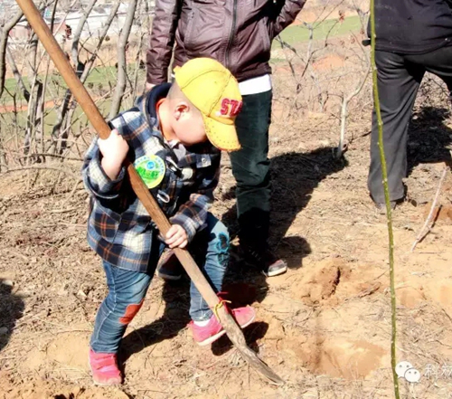 凯时_凯时官网·(中国)首页